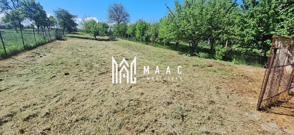 Casa 4 Camere | 1300 mp Teren | Miercurea Sibiului - Poză 4