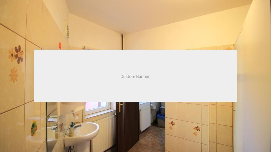 Salcamilor - Bd. Dacia, Vila renovata 223 mp utili, inchiriata! - Poză 26