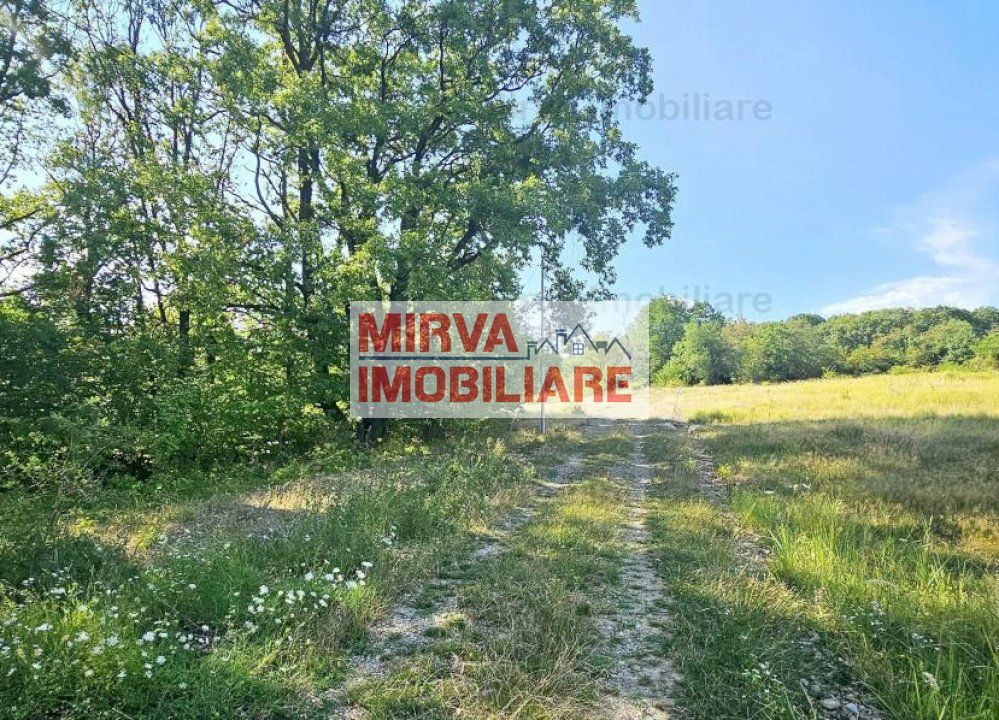 Vanzare teren intravilan, in Pacureti - Poză 6