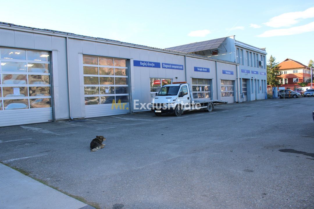Service Auto Modern și Eficient Energetic în Targu Jiu - Poză 9