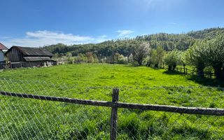 TEREN INTRAVILAN 2592 MP,  ALBESTI DE MUSCEL, ARGES - Poză 4