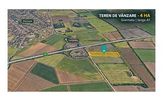 Teren 4 ha – DJ 691 Giarmata | Lângă A1 - Poză 2