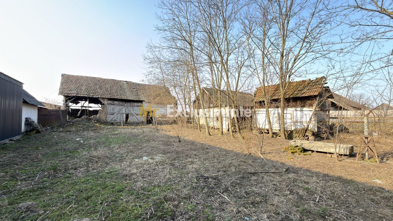 Casă 4 camere, Teren 2.948 mp Tiream SM - Comision 0% cumpărător - Poză 3