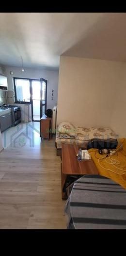 Apartament 1 camera, open space, etaj 3/3, Valea Lupului - Poză 4