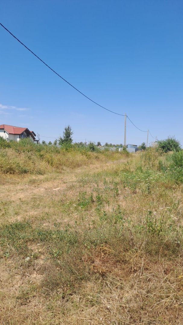 TEREN INTRAVILAN 530 MP -GEPIU - Poză 2