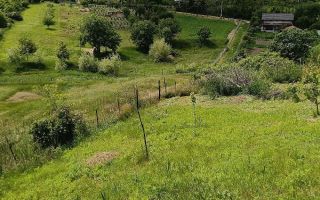 Teren de vânzare în Vorovești, comuna Miroslava – 1.500 mp - Poză 1
