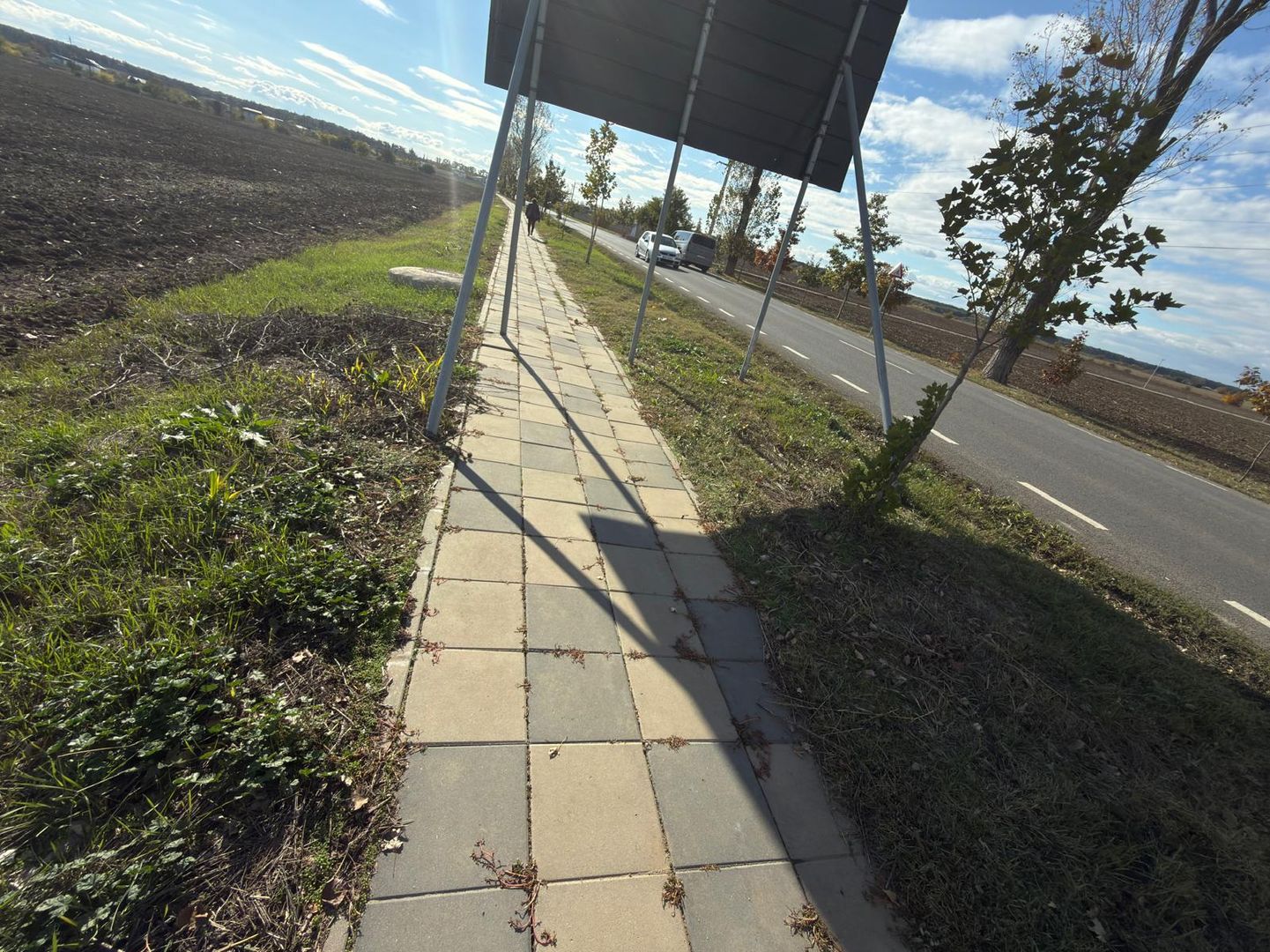 TEREN 26.500 mp -BUFTEA - INDUSTRIAL / COMERCIAL - Poză 2