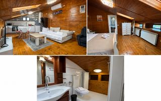 Apartamente de inchiriat zona Tineretului - Parcul Carol - Poză 9