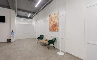 Chirie, spațiu comercial, 440 mp, bd. Decebal, Botanica - Poză 8