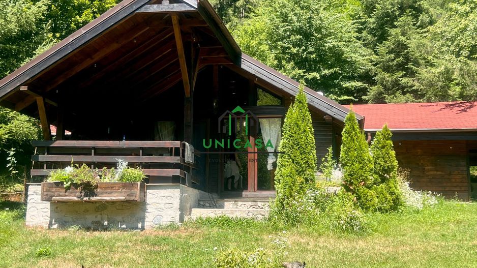 Proprietate deosebita de vanzare – Voinesița, Comuna Voineasa - Poză 3