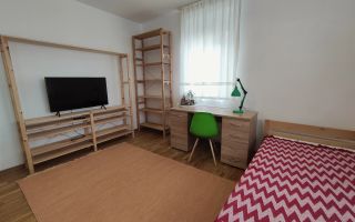 Apartament cu 3 camere | Grădină proprie | Cartierul Europa - Poză 15