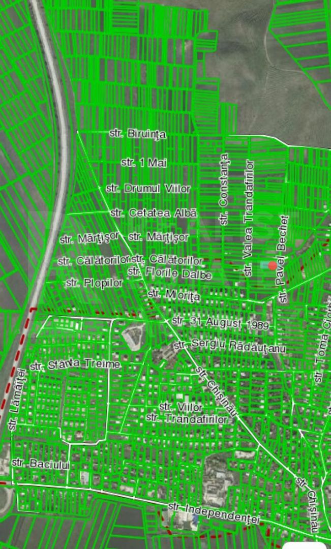 Vânzare, teren, 15,5 ari, strada Pavel Bechet, com. Băcioi - Poză 3
