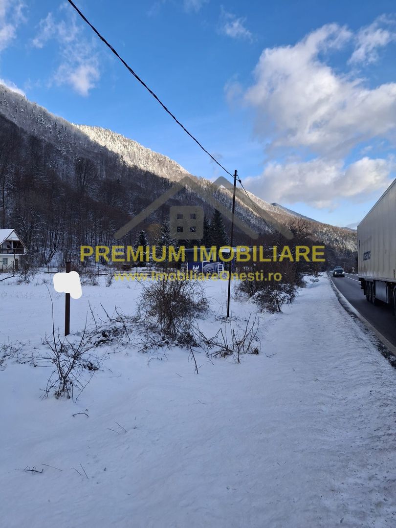 Teren de vânzare în Poiana Sărată – 2.400 mp - Poză 1