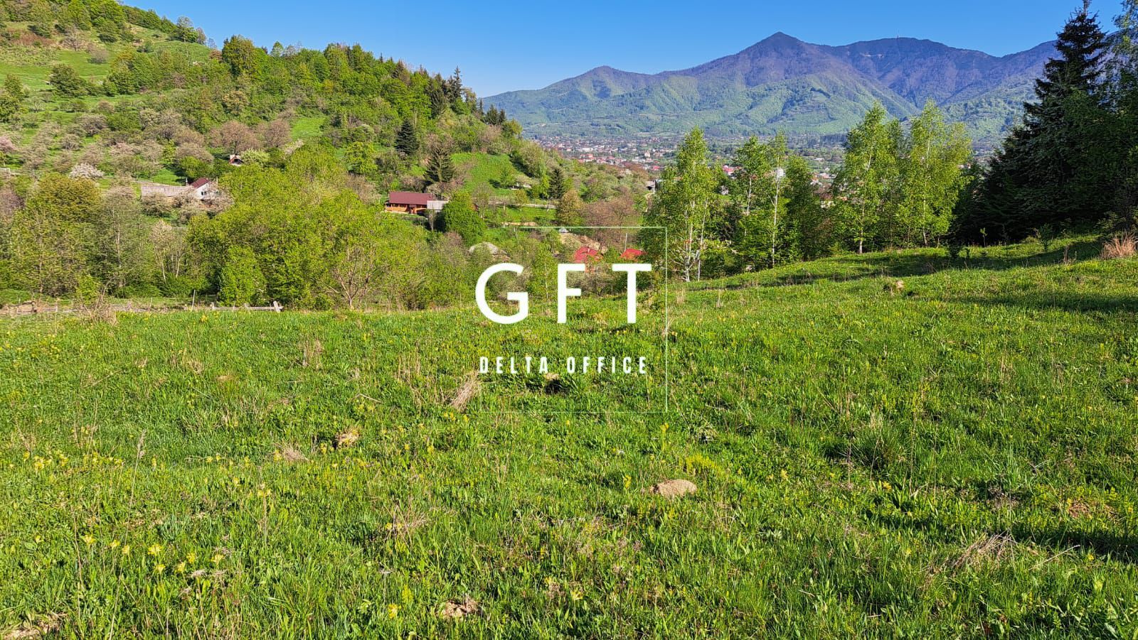 Teren extravilan de vanzare, Bistrita Bargaului- 10 minute de Colibita - Poză 11