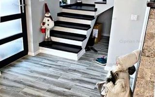 Vila moderna 4 camere, zona Prundu, Valea Geamana - Poză 21