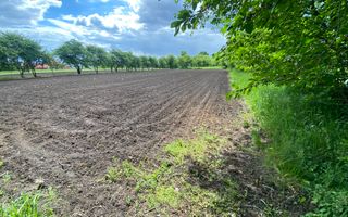 Teren Intravilan | 22 ARI | Horodnic De Jos - Poză 5