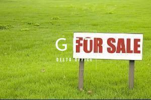 Teren intravilan 2 Ha, zona Centura - Poză 2