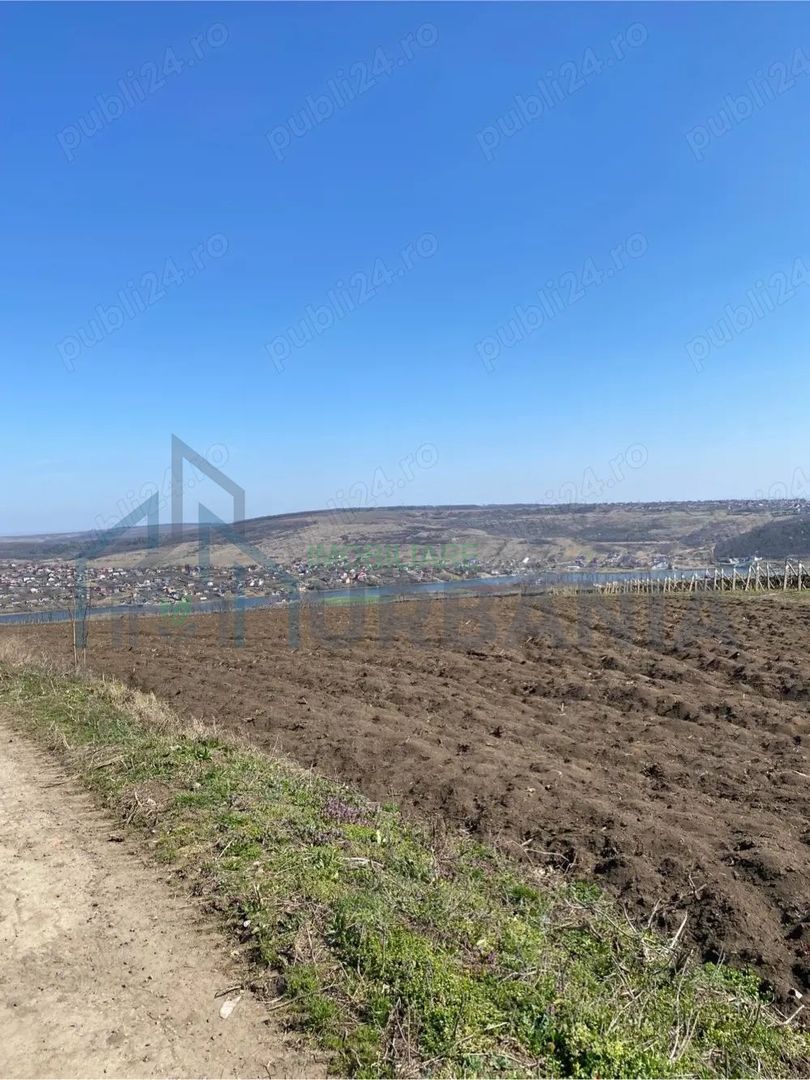Teren de vanzare - Poză 5