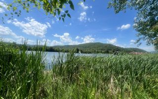 Teren Fedelesoiu/3200 mp/Intravilan - Poză 3