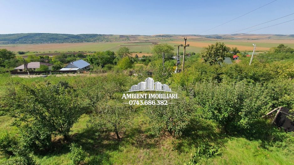 CASĂ individuală P+M cu teren 4.400 mp, zona CĂNȚĂLĂREȘTI; - Poză 11