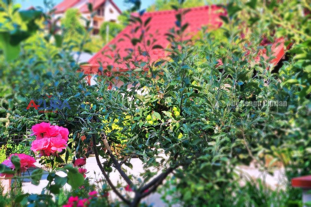 AZURA Imobiliare Pitesti - Casa Gavana Pozitie Excelenta - Poză 67