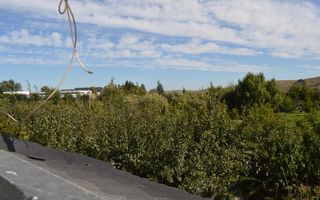 Casă de vânzare Ilișești/Suceava - Poză 50