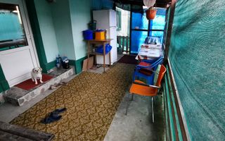 Gospodăria familiei tale în Poarta Albă - Poză 13