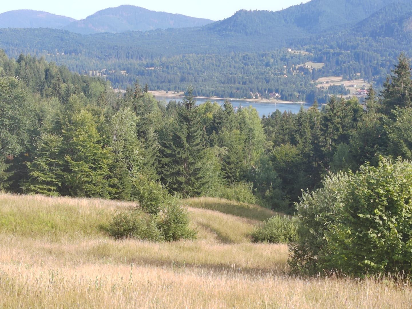 teren Colibita - 2 hectare - acces direct din drumul 173 D - Poză 2