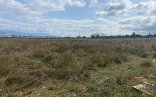 TEREN INTRAVILAN 5000 MP, GRUI, CAMPULUNG - Poză 2