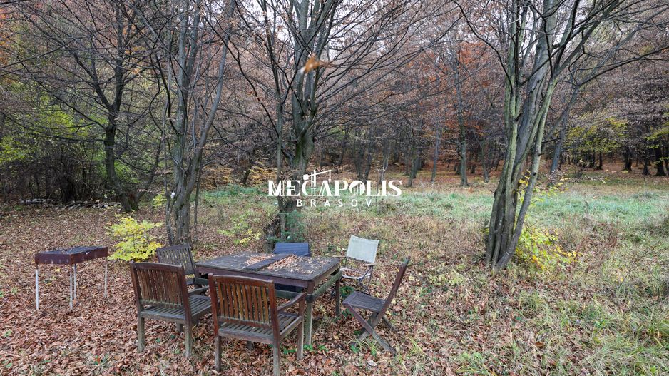 Iesire direct in Padure / Green Park Villas - Poză 8