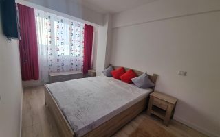 Apartament 1 camera Bucium-300Euro - Poză 1