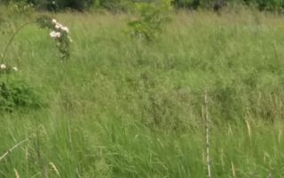 Teren Buftea cu iesire la lac - Poză 29