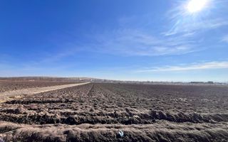 Vanzare I Teren I Suceava/Stroiesti I 100 ARI 2999 Euro/Ar - Poză 10