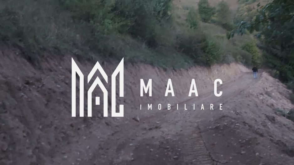 Super ofertă 35000 teren in Muntii Apuseni - Poză 15