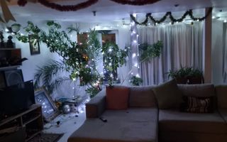 VILA - PENSIUNE CU RESTAURANT + SI TEREN 6406 MP, VALEA MARE PRAVAT, - Poză 7