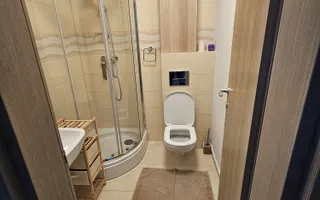 APARTAMENT CU 3 CAMERE LA INCHIRIERE IN COMPLEX GREENFIELD - Poză 12