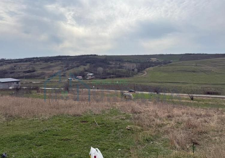 Teren intravilan 1.800 mp în Vorovești (Miroslava) – deschidere 27,7 m - Poză 2