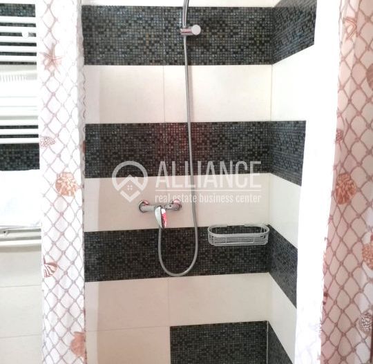 FALEZA NORD (COD10) - Casa/vila cu destinatie comerciala de inchiriat - Poză 16