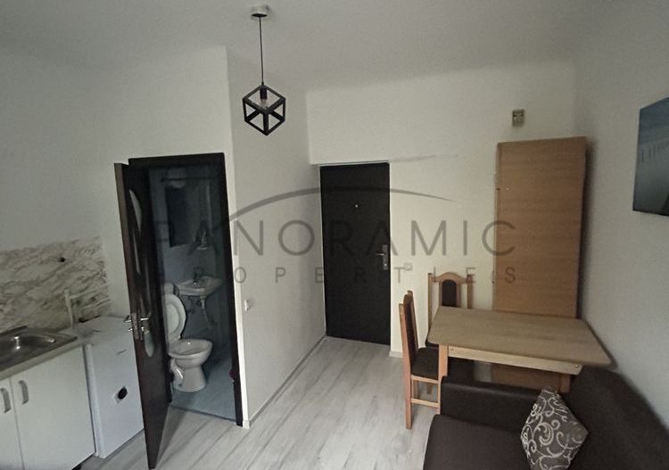 Investitie la cheie 13 mp, Gruia - Poză 4