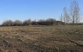 Teren de vanzare,4900 mp in Biharia - Poză 6