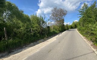 TEREN INTRAVILAN 2943 MP CAMPULUNG - Poză 3