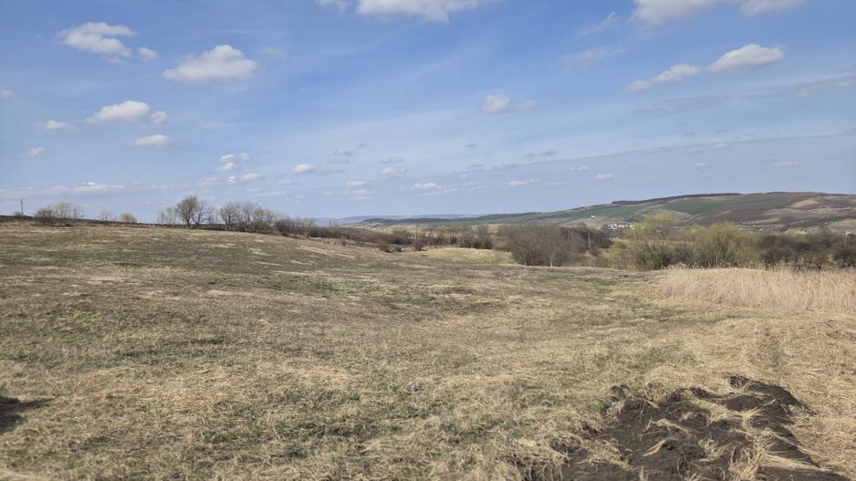 Teren de vanzare Pata Cluj - Poză 2