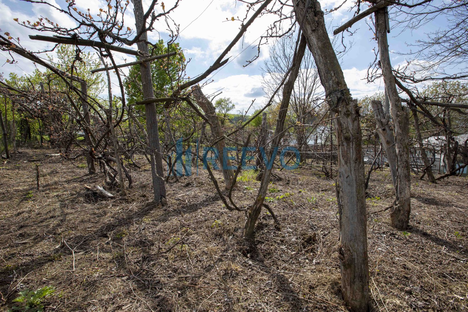 Casă de vânzare în Blăgești, Bacău - Poză 35