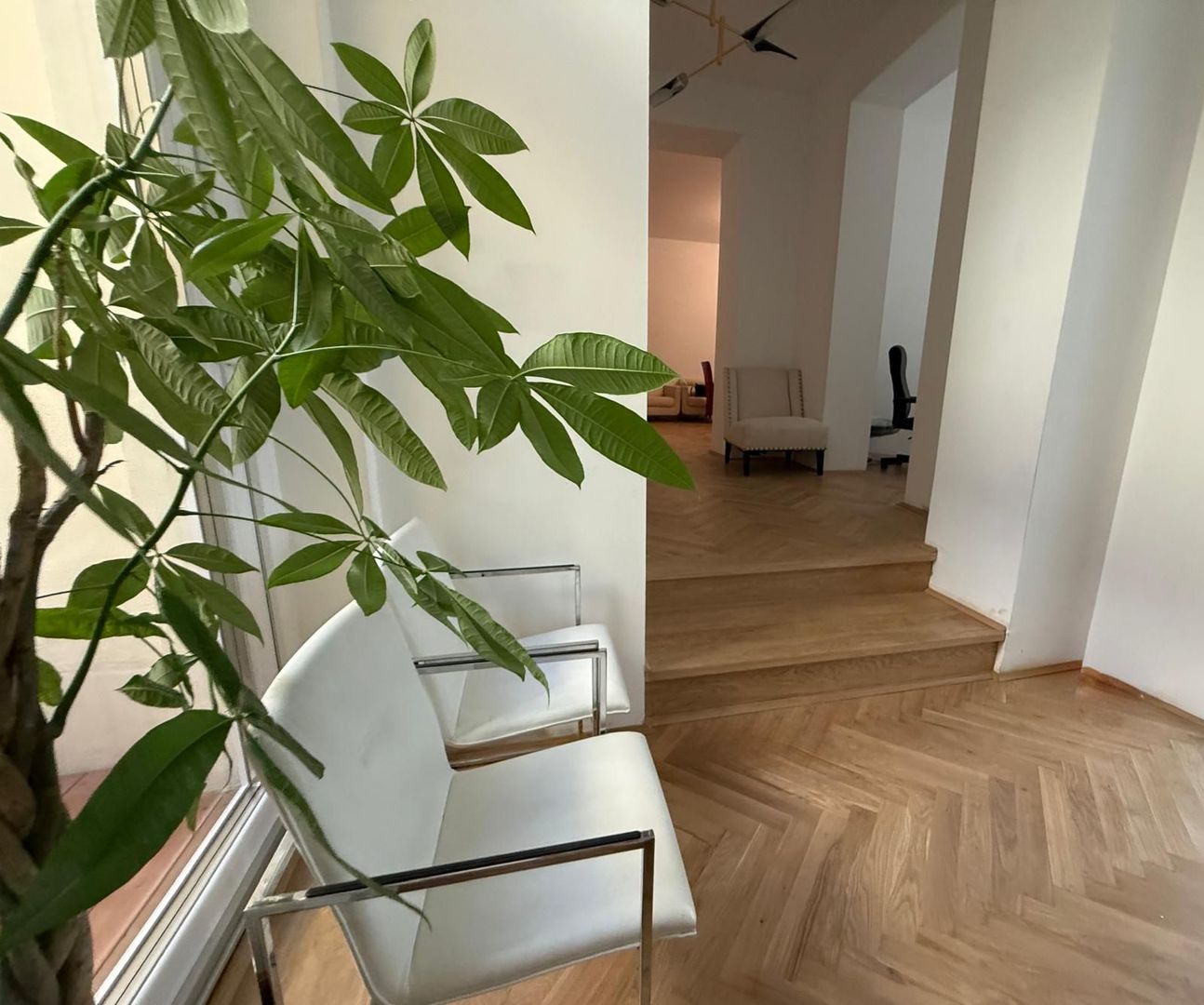 Vilă elegant renovata pentru business de prestigiu - Poză 1