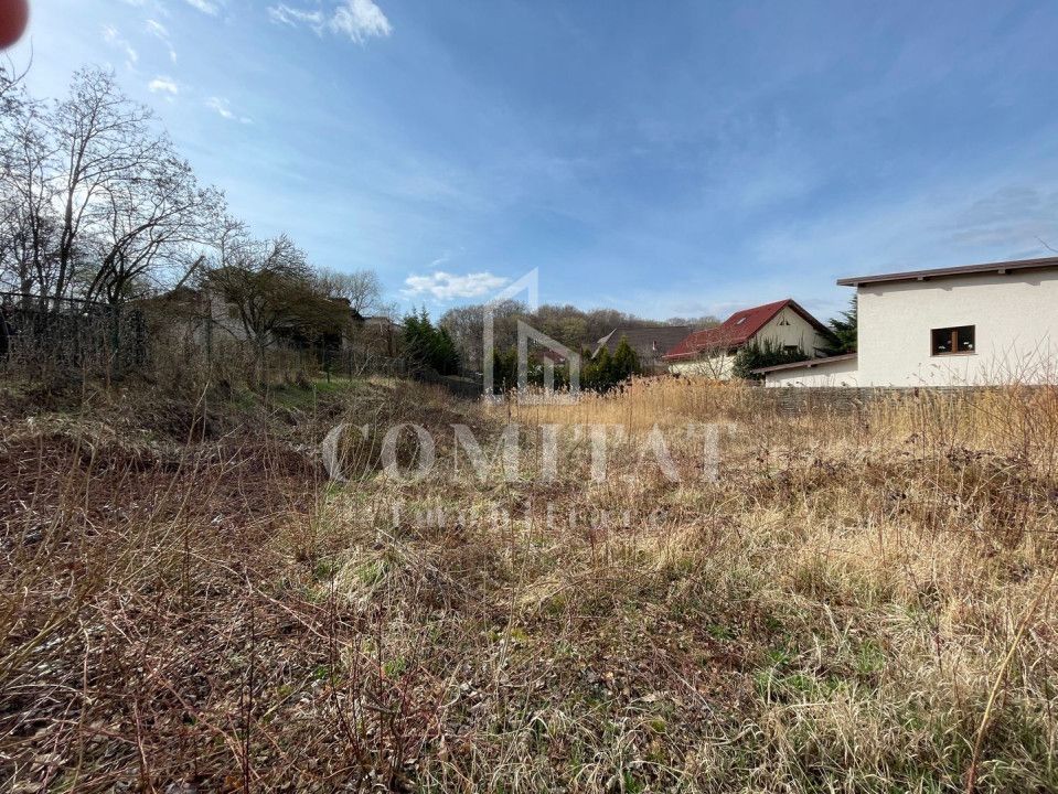 Teren autorizabil Făget - Poză 3