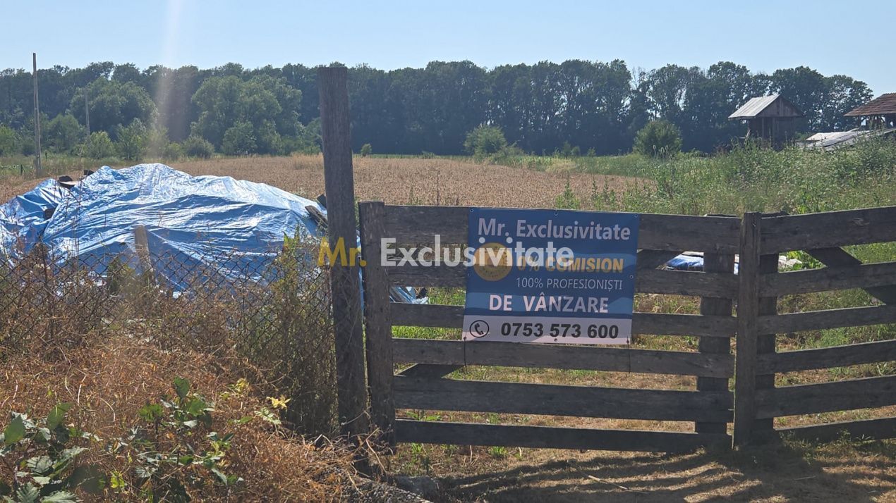 Teren 10.294 mp de vânzare Târgu Jiu | Intravilan + Extravilan | Utilități - Poză 10