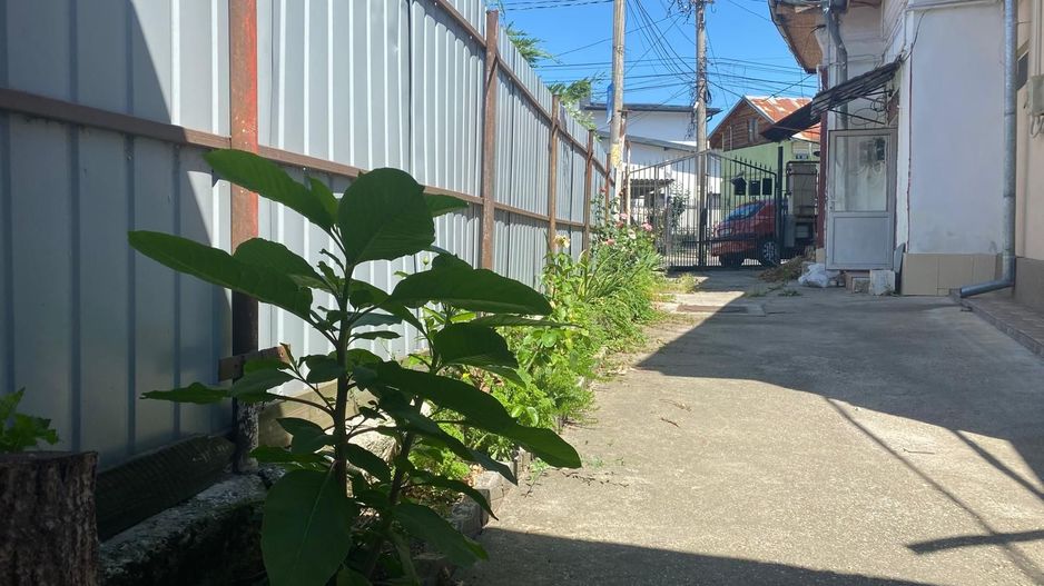 Vanzare casă bine poziționată – Târgoviște, strada Berzei - Poză 11