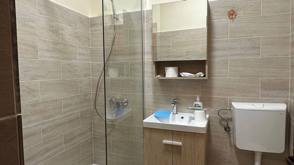 Inchiriere Casa-curte- 1Mai zona Expozitiei - Poză 6