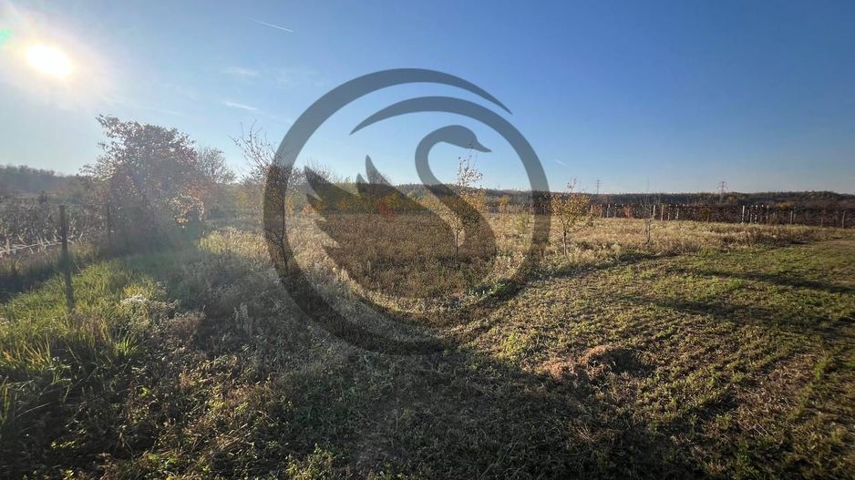 Teren intravilan de vanzare | 12.650 mp | Ghirdoveni, | COMISION 0% - Poză 7