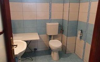 Inchiriere Spatii Comerciale in Brasov - Poză 3